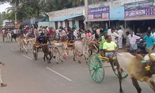 குதிரை, மாட்டு வண்டி எல்கை பந்தயம் குதிரை, மாட்டு வண்டி எல்கை பந்தயம்