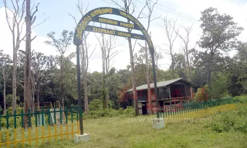 டாப்சிலிப்பில் யானை சவாரி தொடங்க வேண்டும்