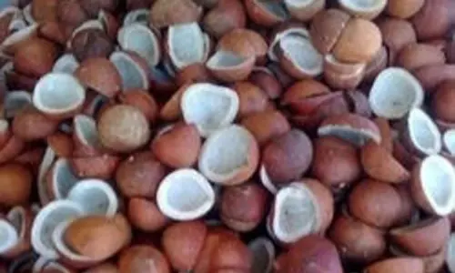 ரூ.14¾ கோடி கொப்பரை கொள்முதல்