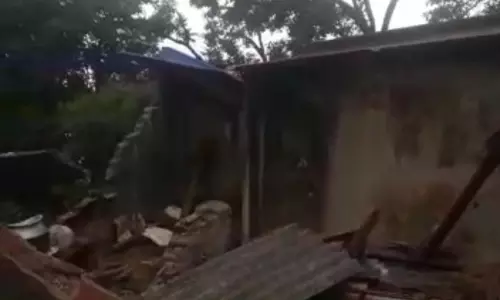 மேகமலை வனப்பகுதியில்தேயிலை தோட்டத்தில் புகுந்து வீடுகளை சூறையாடிய அரிக்கொம்பன் யானை