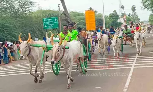 திருப்பத்தூரில் மாட்டுவண்டி பந்தயம் திருப்பத்தூரில் மாட்டுவண்டி பந்தயம்