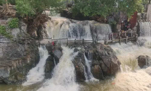 தமிழக காவிரி நீர்ப்பிடிப்பு பகுதிகளில் மழை:ஒகேனக்கல்லுக்கு நீர்வரத்து 6,500 கனஅடியாக அதிகரிப்பு