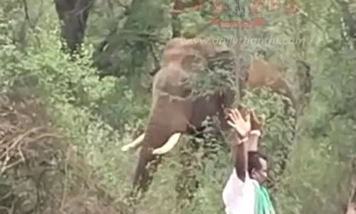 பென்னாகரம்- ஒகேனக்கல் சாலையில் சுற்றித்திரியும் காட்டு யானையை ஒருவர் வணங்கும் வீடியோ காட்சிகள்சமூக வலைத்தளத்தில் வைரலானது