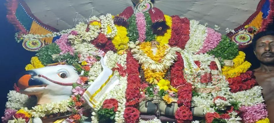 பாலதண்டாயுதபாணி கோவிலில் செண்பகப்பூ உற்சவம் பாலதண்டாயுதபாணி கோவிலில் செண்பகப்பூ உற்சவம்