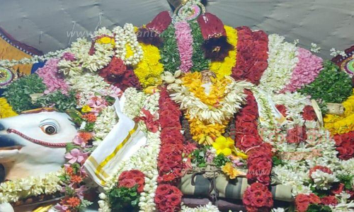 பாலதண்டாயுதபாணி கோவிலில் செண்பகப்பூ உற்சவம் பாலதண்டாயுதபாணி கோவிலில் செண்பகப்பூ உற்சவம்