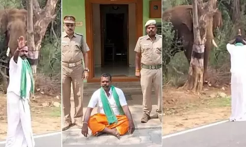 ஒகேனக்கல் அருகே சாலையோரம் சுற்றித்திரிந்தகாட்டு யானையை வணங்கி வீடியோ எடுத்து வெளியிட்டவருக்கு ரூ.10 ஆயிரம் அபராதம் பென்னாகரம் வனத்துறையினர் நடவடிக்கை