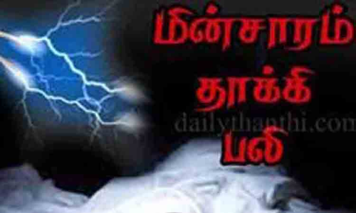 மின்சாரம் தாக்கி விவசாயி பலி