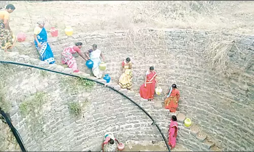 கரணம் தப்பினால் மரணம்: மரக்கன்றுகளை காப்பாற்ற உயிரை பணயம் வைக்கும் பெண்கள்