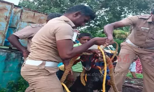 கிணற்றில் விழுந்த ஆட்டுக்குட்டி மீட்பு