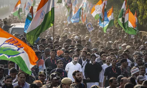 கர்நாடகாவில் காங்கிரஸ் கட்சிக்கு வெற்றி ;தனிப்பெரும்பான்மையுடன் ஆட்சி அமைக்கிறது- தொண்டர்கள் உற்சாகம்