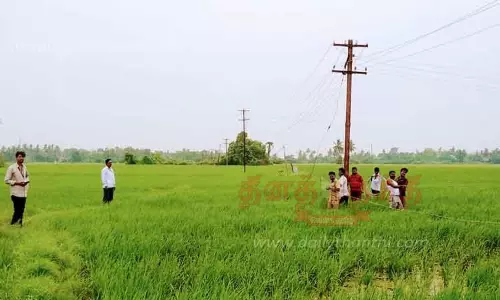 சேதமடைந்த மின்கம்பத்தை அகற்றும் பணி தீவிரம்