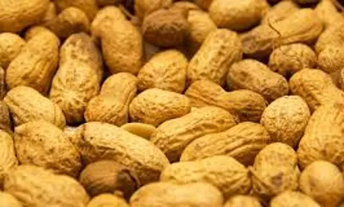 ரூ.4 லட்சத்துக்கு நிலக்கடலை ஏலம்