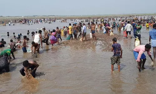 மணிமுக்தா அணையில் மீன் பிடி திருவிழா மணிமுக்தா அணையில் மீன் பிடி திருவிழா