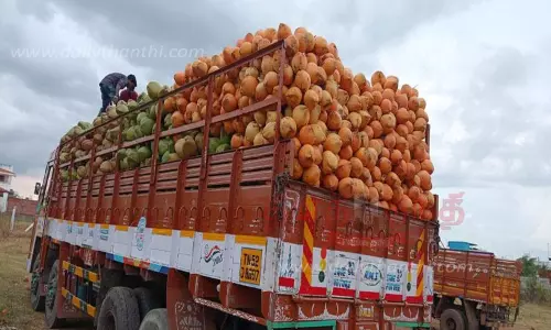 இளநீர் விலை ரூ.34 நிர்ணயம்