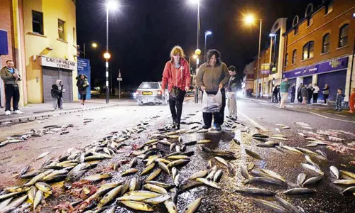 வானம் காட்டும் மழை ஜாலம்