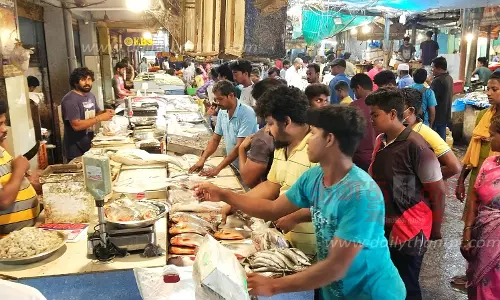 வேலூர் மார்க்கெட்டில் மீன்கள் விலை உயர்வு