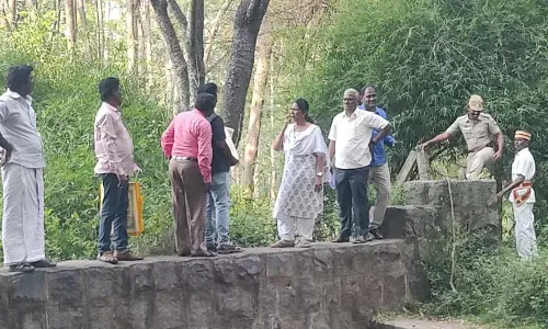 பாப்பிரெட்டிப்பட்டி அருகேவேப்பாடி ஆற்றில் தடுப்பணை கட்டுவது குறித்து கலெக்டர் ஆய்வு