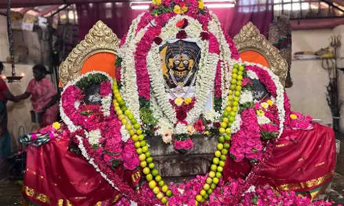 தர்மபுரி குமாரசாமிப்பேட்டைமுனியப்பன் கோவில் திருவிழாதிரளான பக்தர்கள் தரிசனம்