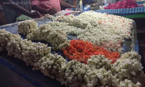 திருவாரூரில், 1 கிலோ மல்லிகை பூ ரூ.120-க்கு விற்பனை திருவாரூரில், 1 கிலோ மல்லிகை பூ ரூ.120-க்கு விற்பனை