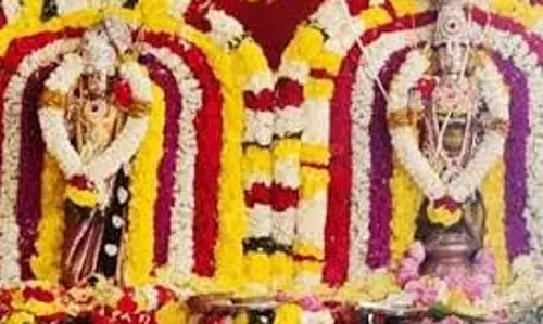 திரவுபதி அம்மன் கோவிலில் திருக்கல்யாண உற்சவம்
