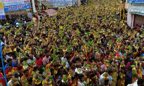 வேப்பிலை மாரியம்மன் கோவில் பால்குட திருவிழா