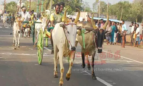 கோவில் திருவிழாவையொட்டி மாட்டு வண்டி பந்தயம் கோவில் திருவிழாவையொட்டி மாட்டு வண்டி பந்தயம்
