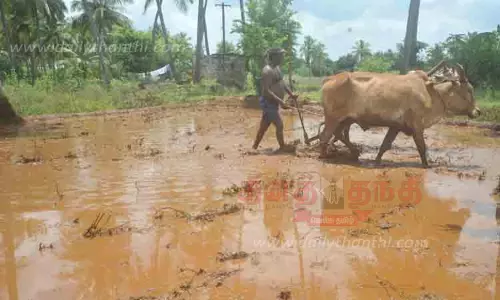 கிணற்று பாசனத்தில் விவசாய பணிகள்