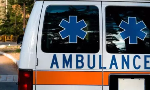 மராட்டியத்தில் வெயில் தாக்கத்துக்கு கர்ப்பிணி பலிஆஸ்பத்திரிக்கு 7 கி.மீ. நடந்து சென்றதால் விபரீதம்