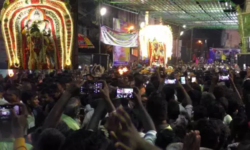 வேப்பிலை மாரியம்மன் கோவிலில் வேடபரி திருவிழா