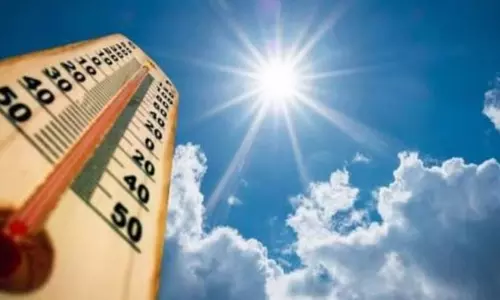 கொளுத்தும் கோடை வெப்பம்: 14 நகரங்களில் சதம் அடித்த வெயில் - வேலூரில் அதிகபட்சமாக 108.14 டிகிரி