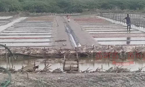 மீண்டும் உப்பு உற்பத்தி பணிகள் தொடக்கம் மீண்டும் உப்பு உற்பத்தி பணிகள் தொடக்கம்