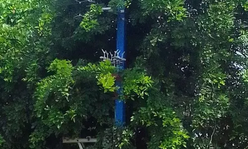 புதிய மின்மாற்றிகள் பயன்பாட்டிற்கு கொண்டு வரப்படுமா?