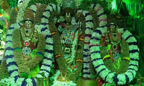 தர்மபுரி பரவாசுதேவ பெருமாள் கோவிலில்வசந்த உற்சவ விழா