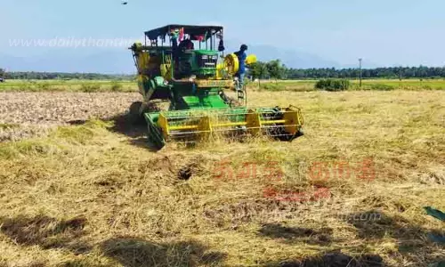 நெல் அறுவடை பணிகள் தீவிரம் நெல் அறுவடை பணிகள் தீவிரம்