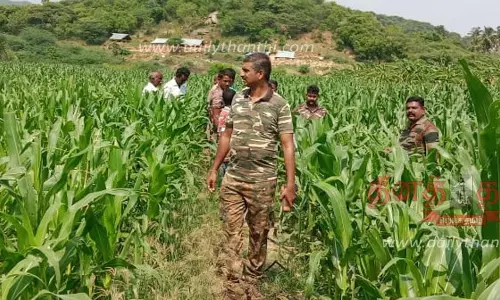 டி.என்.பாளையம் அருகே கோழிப்பண்ணையில் நடமாடிய மர்ம விலங்கு; சிறுத்தையா? பொதுமக்கள் பீதி