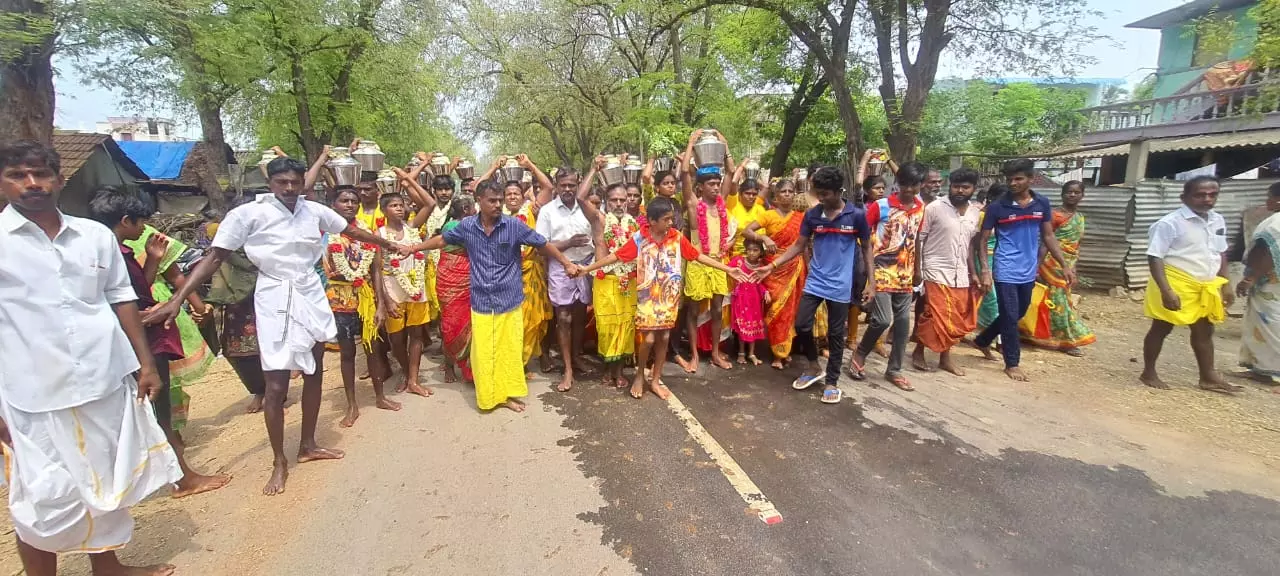 சிந்தலவாடி மாரியம்மன் கோவிலில் பால்குட ஊர்வலம் சிந்தலவாடி மாரியம்மன் கோவிலில் பால்குட ஊர்வலம்
