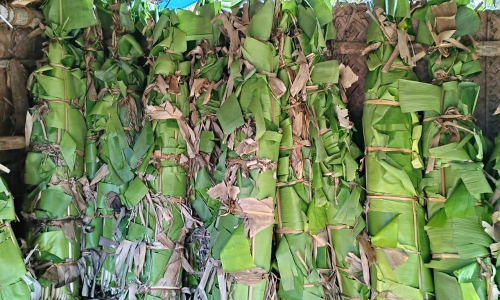 வாழை இலையை வாங்க வருவாங்களா...?