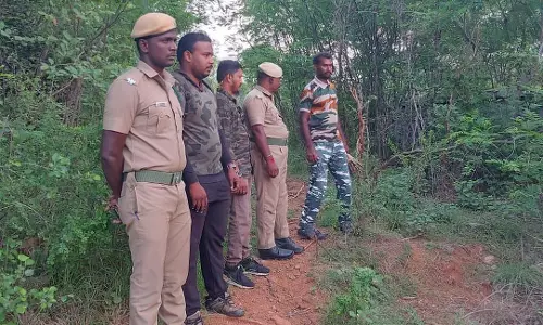 காட்டு யானைகள் கணக்கெடுக்கும் பணி தொடங்கியது