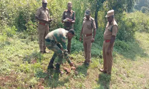 யானைகள் கணக்கெடுக்கும் பணி தொடங்கியது