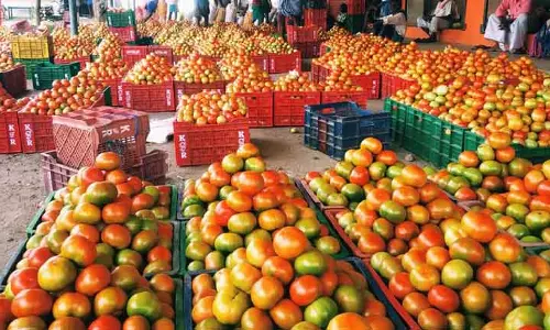 தக்காளி விலை உயர்வு