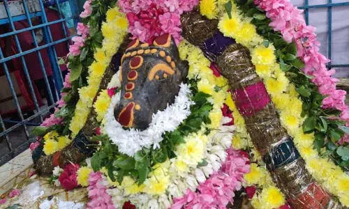 கள்ளக்குறிச்சி பகுதி கோவில்களில் பிரதோஷ வழிபாடு