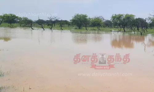 மேலச்செல்வனூர் பறவைகள் சரணாலயத்தில் தேங்கிய தண்ணீர்