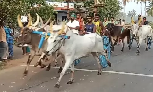 மாட்டு வண்டி எல்கை பந்தயம் மாட்டு வண்டி எல்கை பந்தயம்