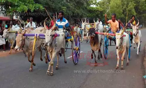 கல்லல் அருகே சீறி பாய்ந்த மாட்டு வண்டிகள் கல்லல் அருகே சீறி பாய்ந்த மாட்டு வண்டிகள்