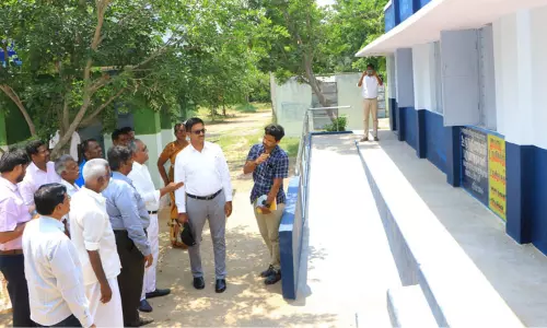 வளர்ச்சி பணிகளை கலெக்டர் ஆய்வு