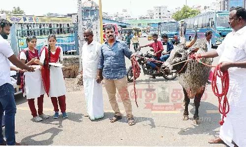 ஜல்லிக்கட்டு ஆர்வலர்கள் பட்டாசு வெடித்து கொண்டாட்டம்