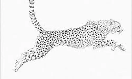 பவானிசாகர் அருகே தோட்டத்துக்குள் புகுந்து நாயை கொன்ற சிறுத்தைப்புலி