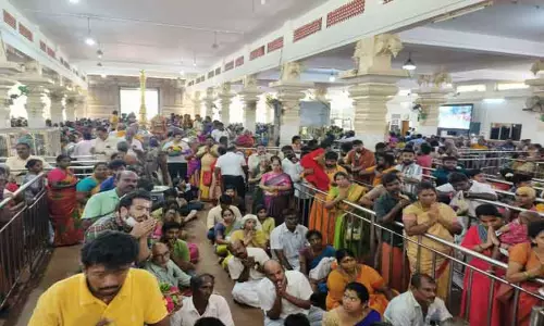 அமாவாசையையொட்டி ஆனைமலை மாசாணி அம்மன் கோவிலில் சிறப்பு வழிபாடு-திரளான பக்தர்கள் தரிசனம்