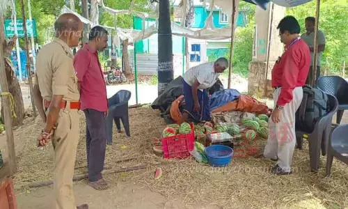 100 கிலோ தர்ப்பூசணி பழங்கள் அழிக்கப்பட்டன