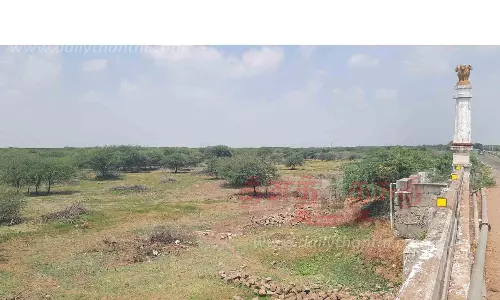 வைகை தண்ணீர் தேக்கிய ஆர்.எஸ்.மங்கலம் பெரிய கண்மாய் தண்ணீரின்றி வறண்டது